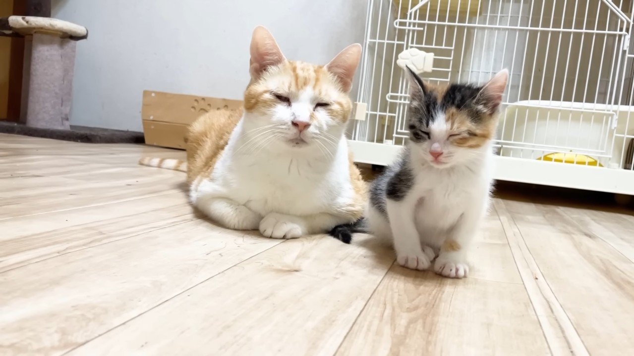 目を瞑るふたり(正面)