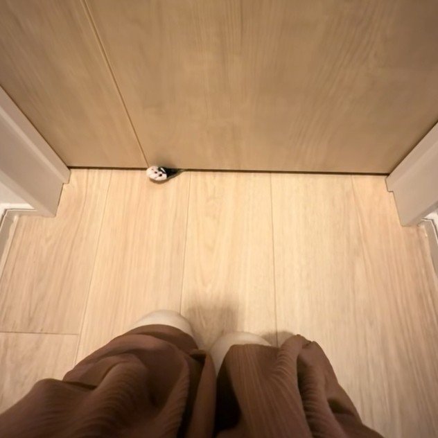 ドアの隙間で動く猫の手