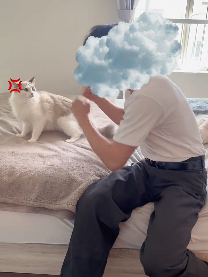 人の前に立つ猫