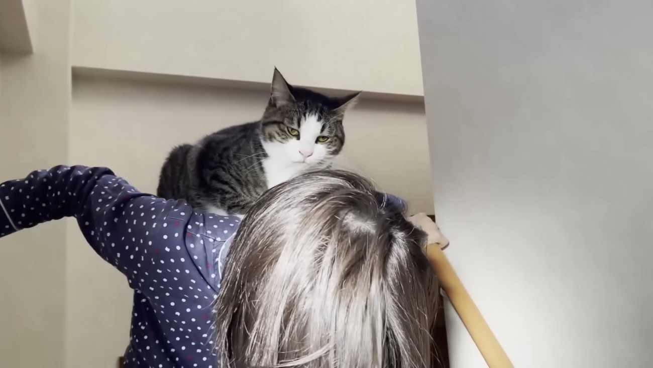 階段を降りていく娘さん（5年前）