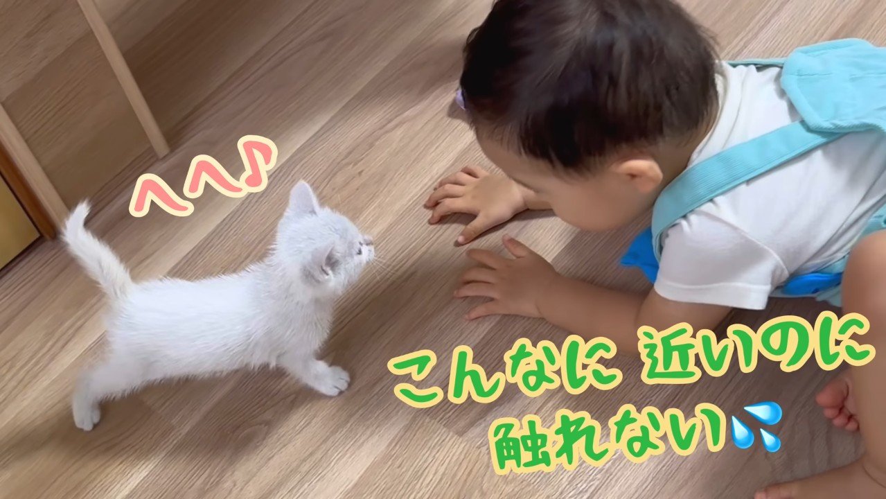 こんなに近いのに