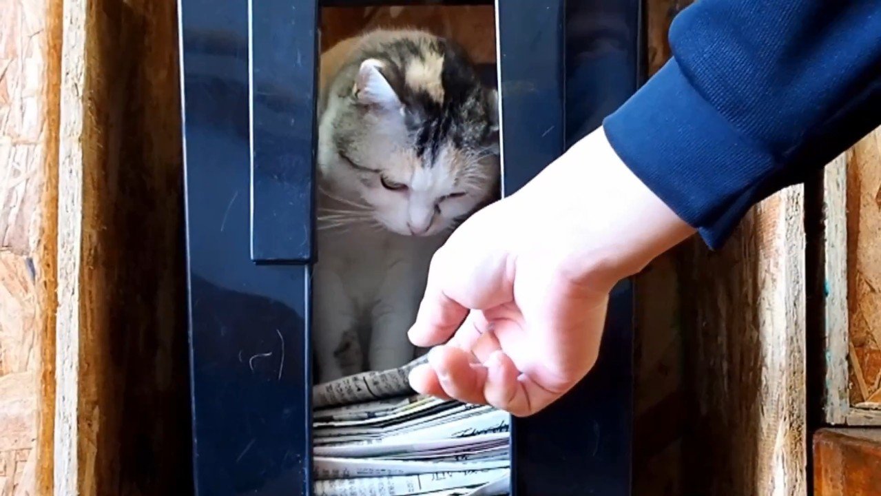 手を近づけて