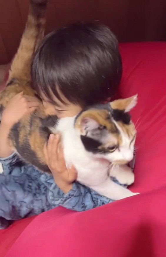 ベッドの上の男の子と猫