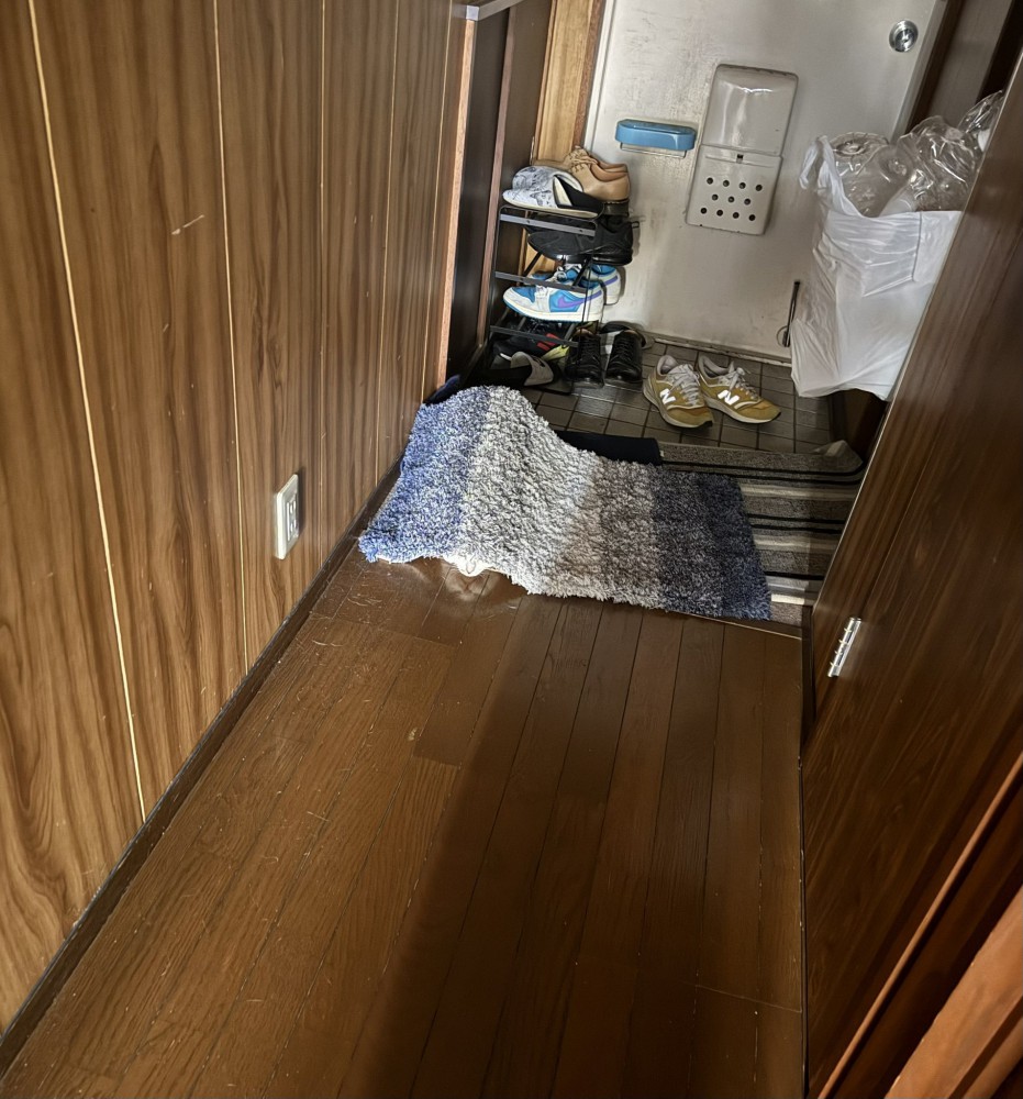 玄関マットの下に隠れるキジ白猫