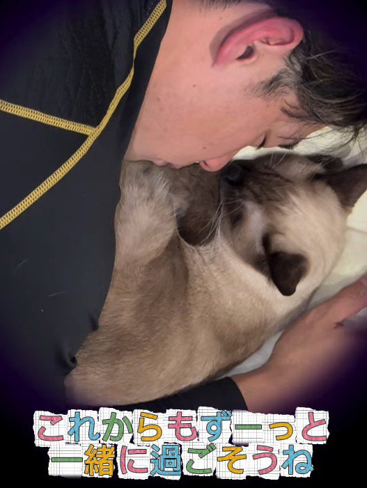 人と一緒に寝る子猫