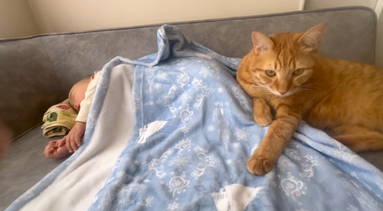 寝込んでいる赤ちゃんのそばにいる猫