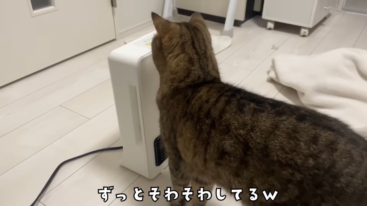 ずっとそわそわ
