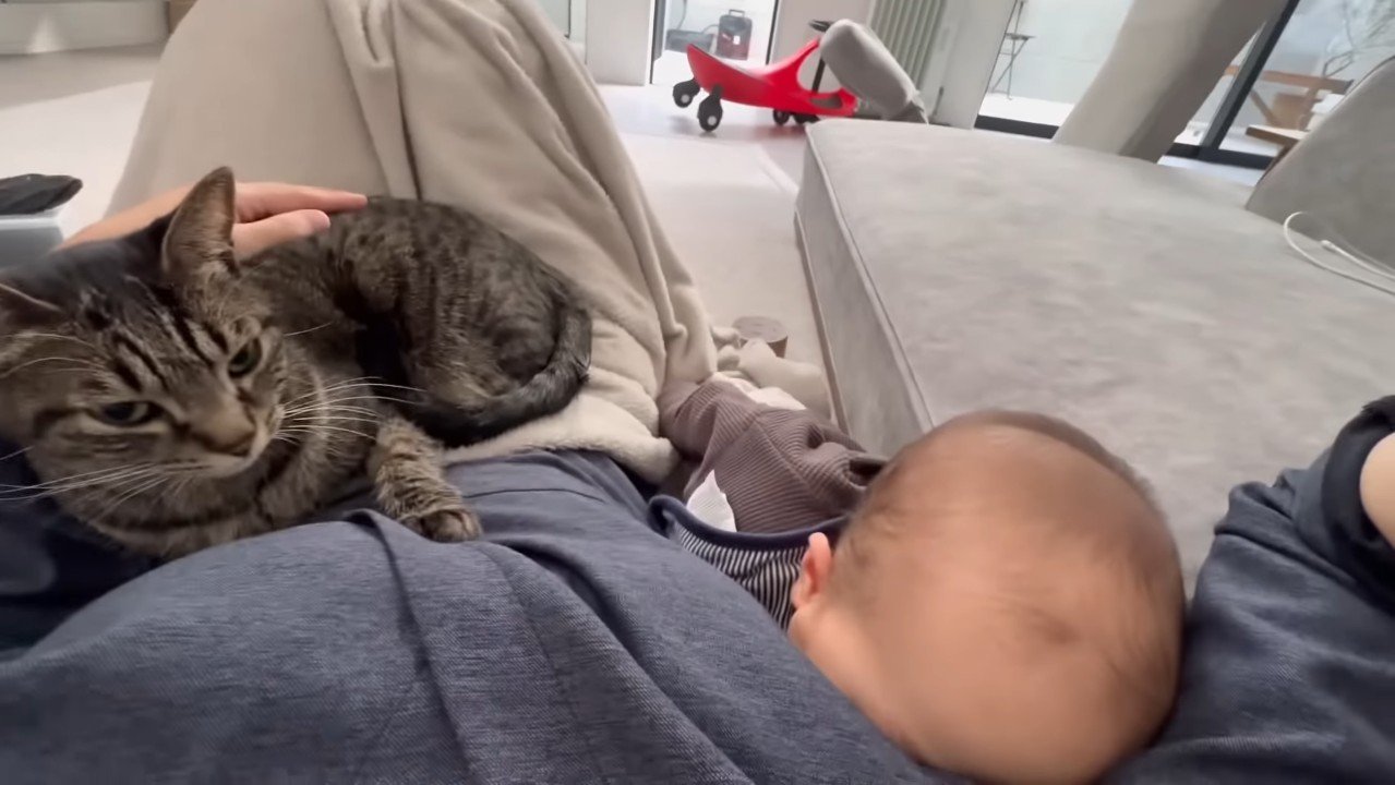 顔を押しつける赤ちゃん