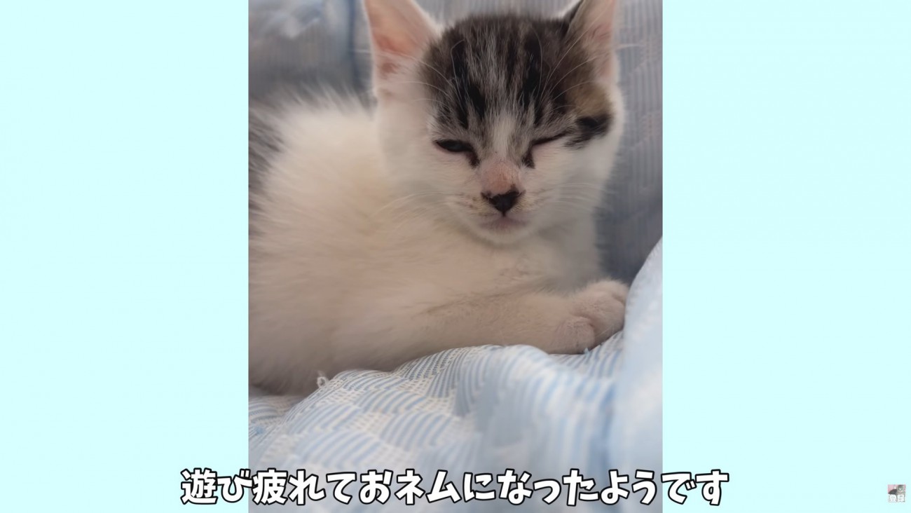 テロップ「遊び疲れて～」