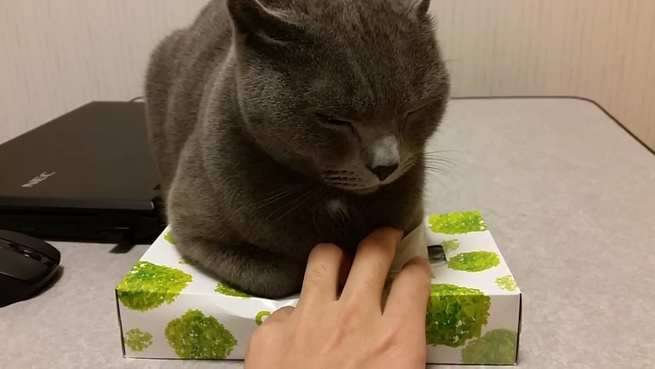 ティッシュを取ろうとする手