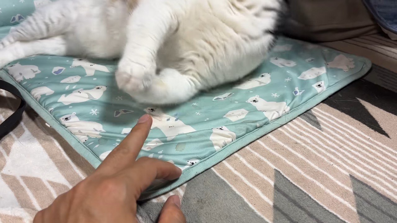見切れた姿