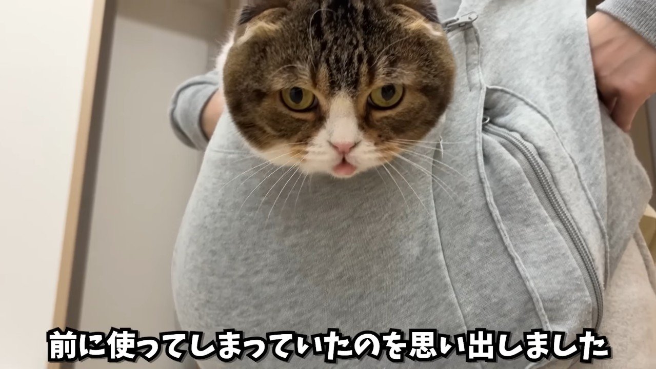 ぽこ太郎くんのアップ