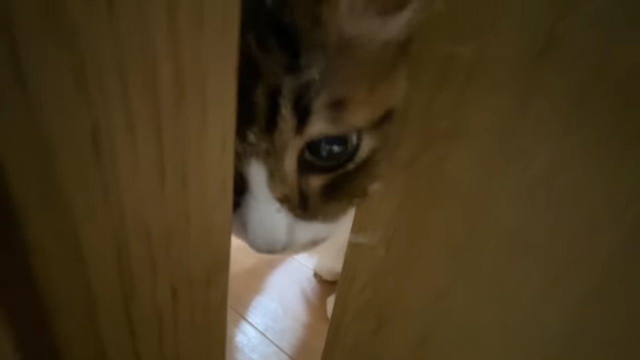ドアの隙間
