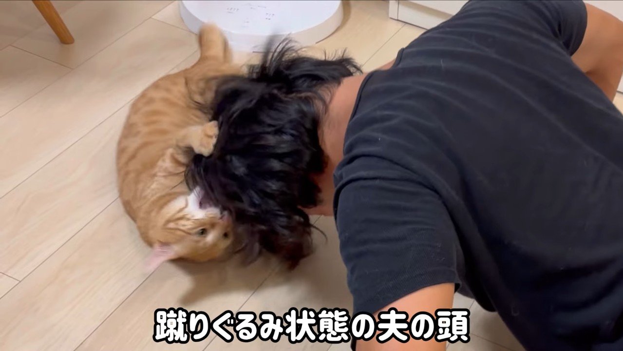 けりぐるみ状態