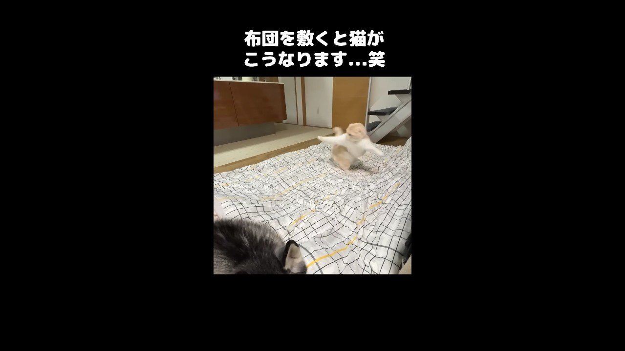 前足を広げて右ひねり