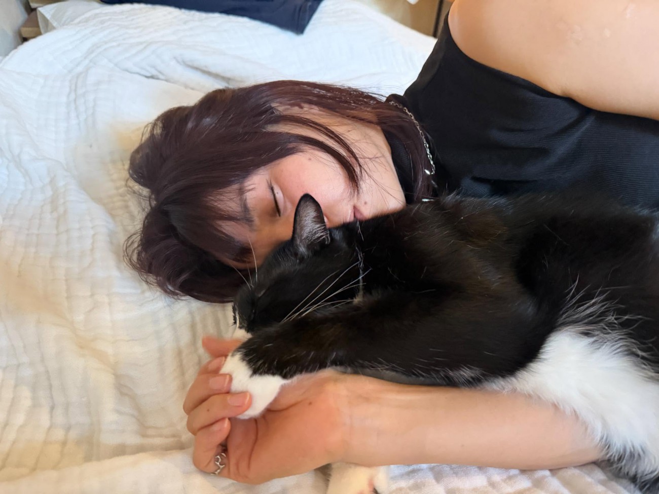 猫を抱く飼い主さん