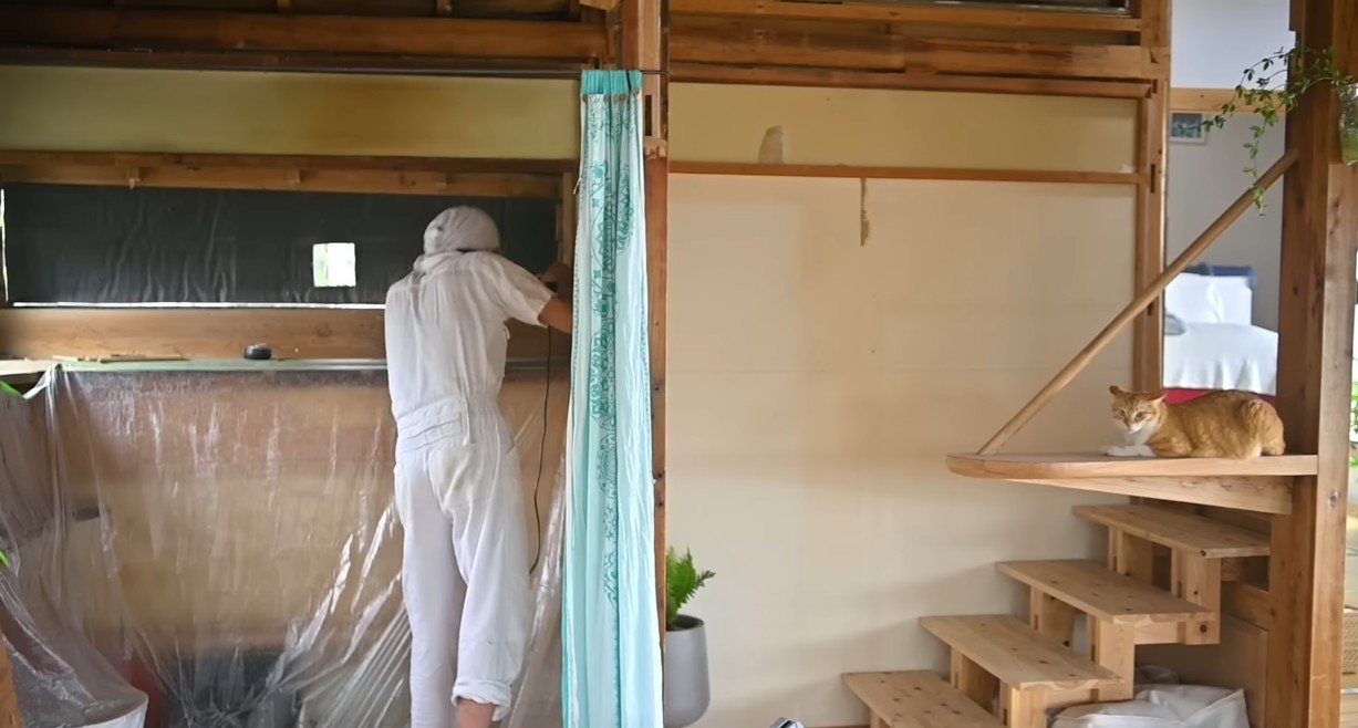 ステップの上でくつろぎ中