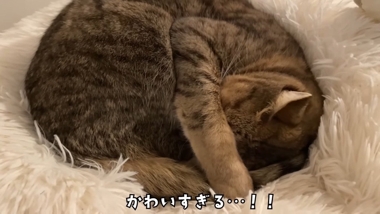 かわいすぎる…！！