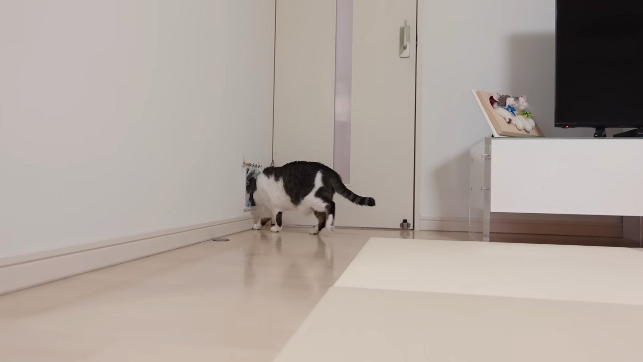 逃げるささみくん