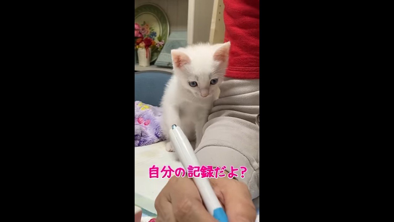 自分の記録だよ？