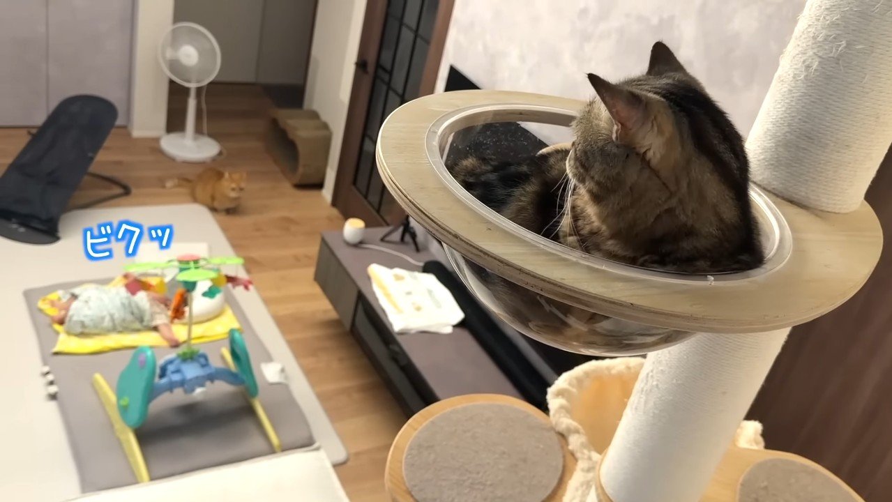 ビクッ