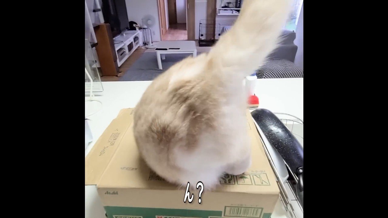 ん？