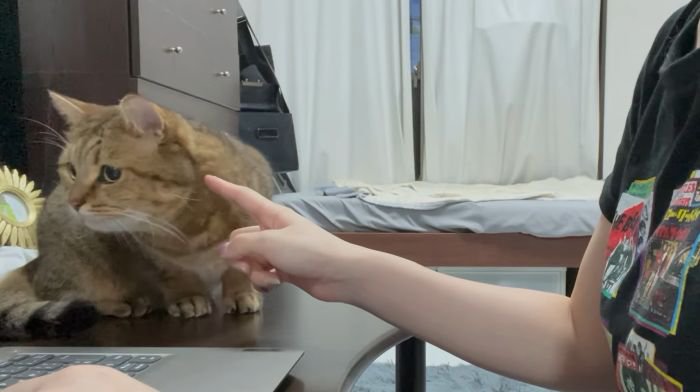 身を乗り出すみにらくん