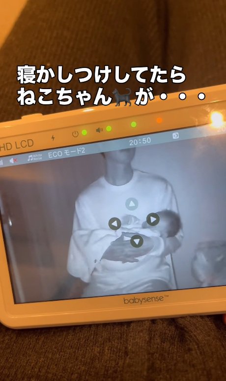 熟睡する赤ちゃん