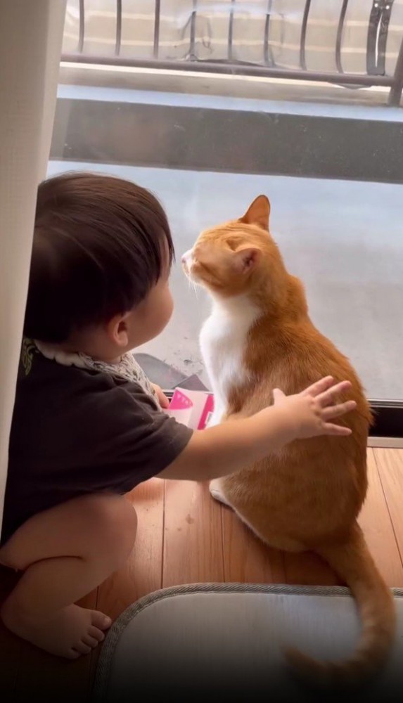猫をなでる赤ちゃん