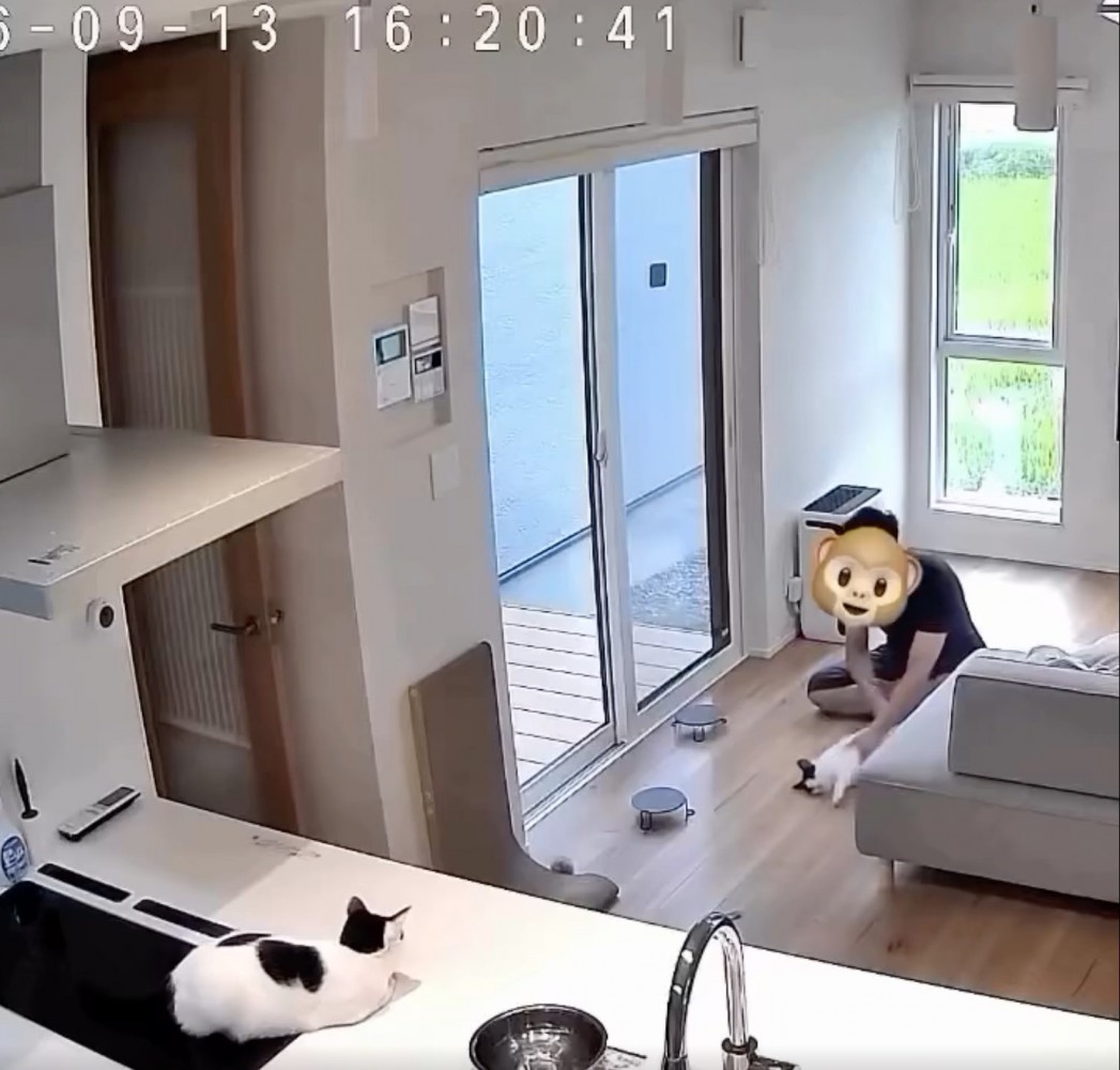 猫と戯れる男性