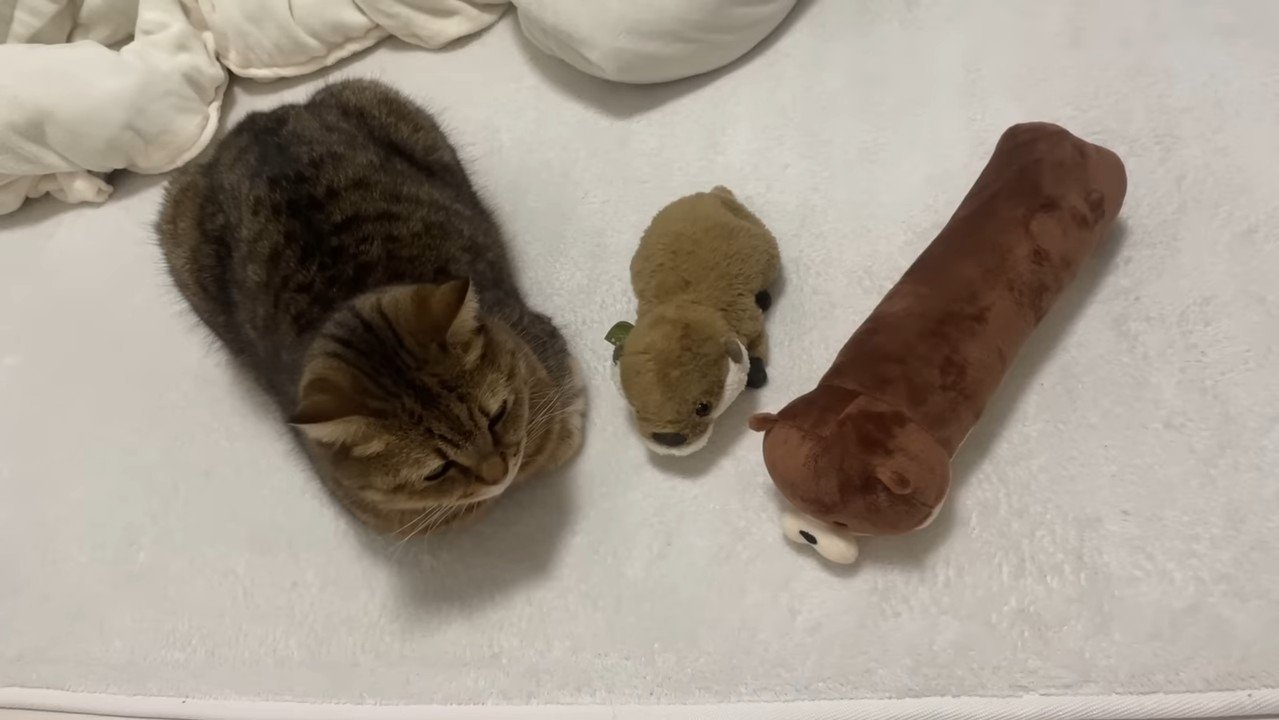 並ぶ3人(上から)