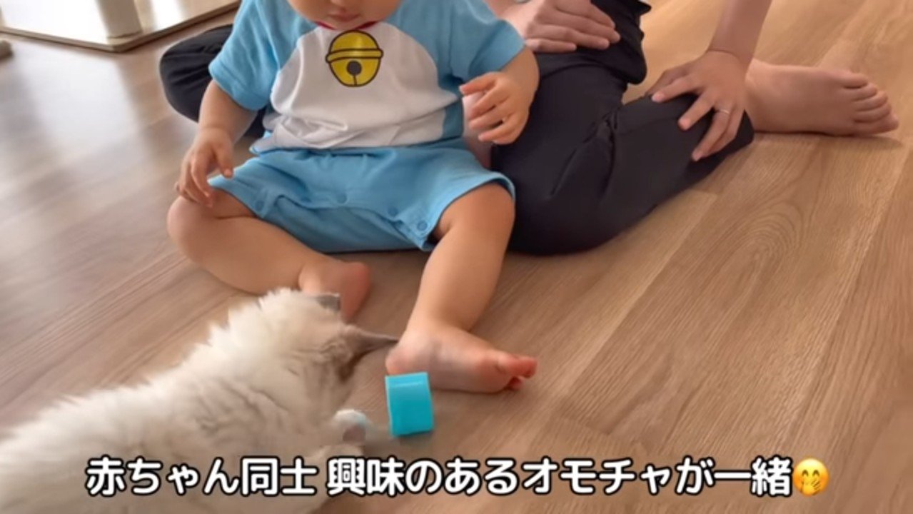 興味のあるオモチャが一緒