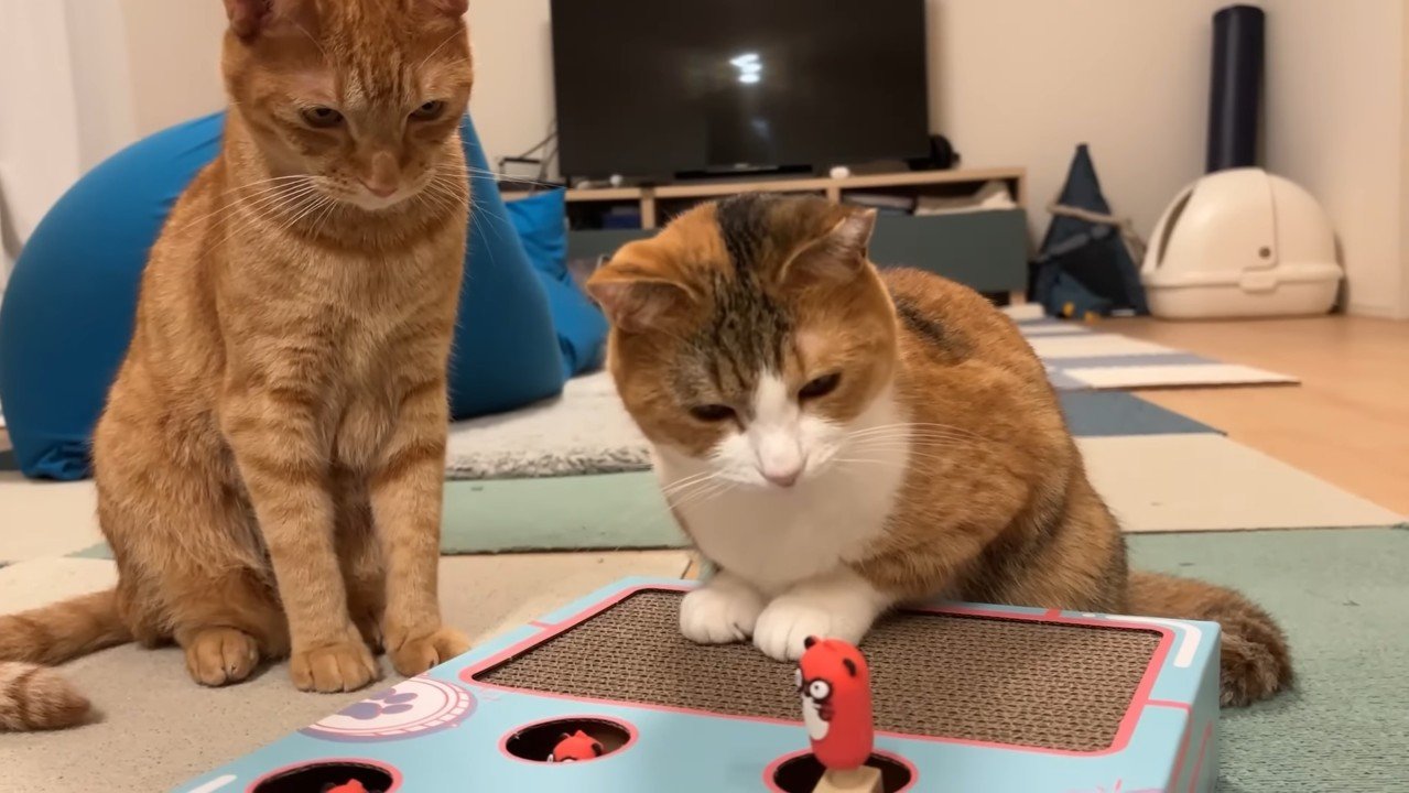 見つめるふたり