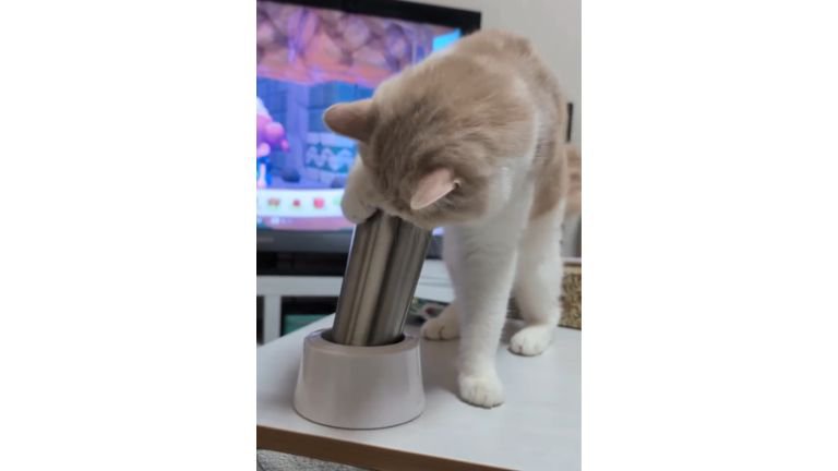 猫とタンブラー