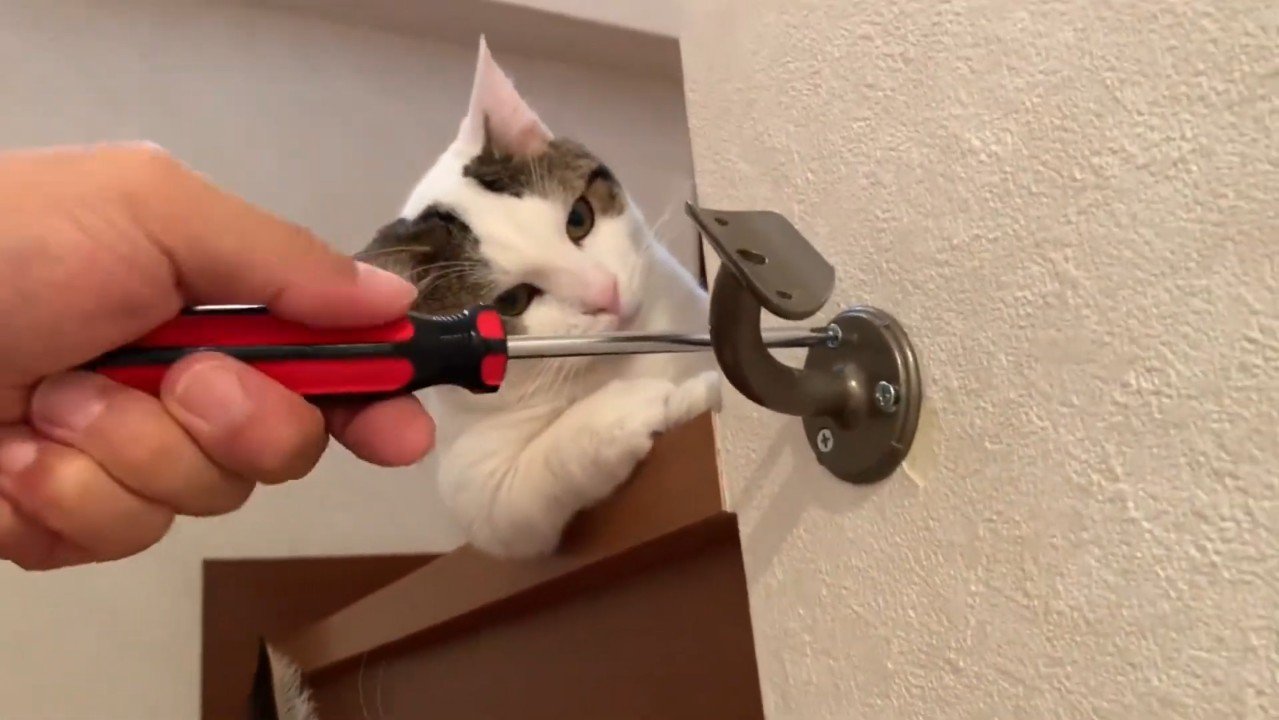 腕をかけるように