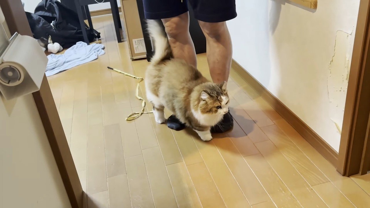 足元に密着