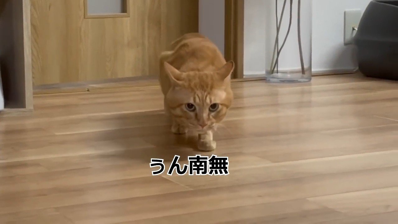ぅん南無