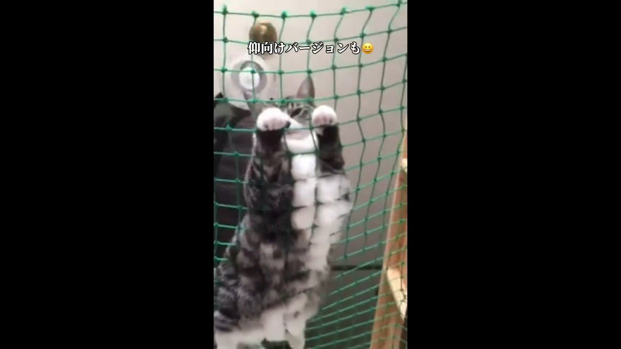 少し顔を上げて