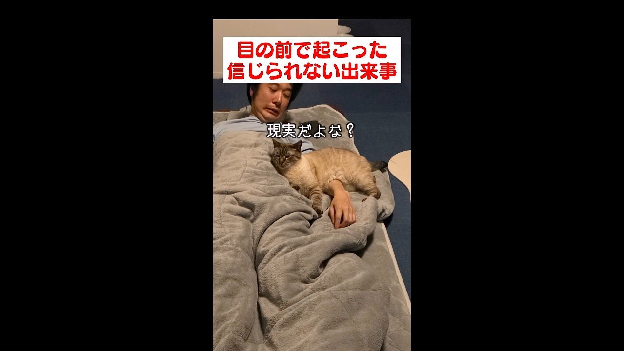 現実だよな？