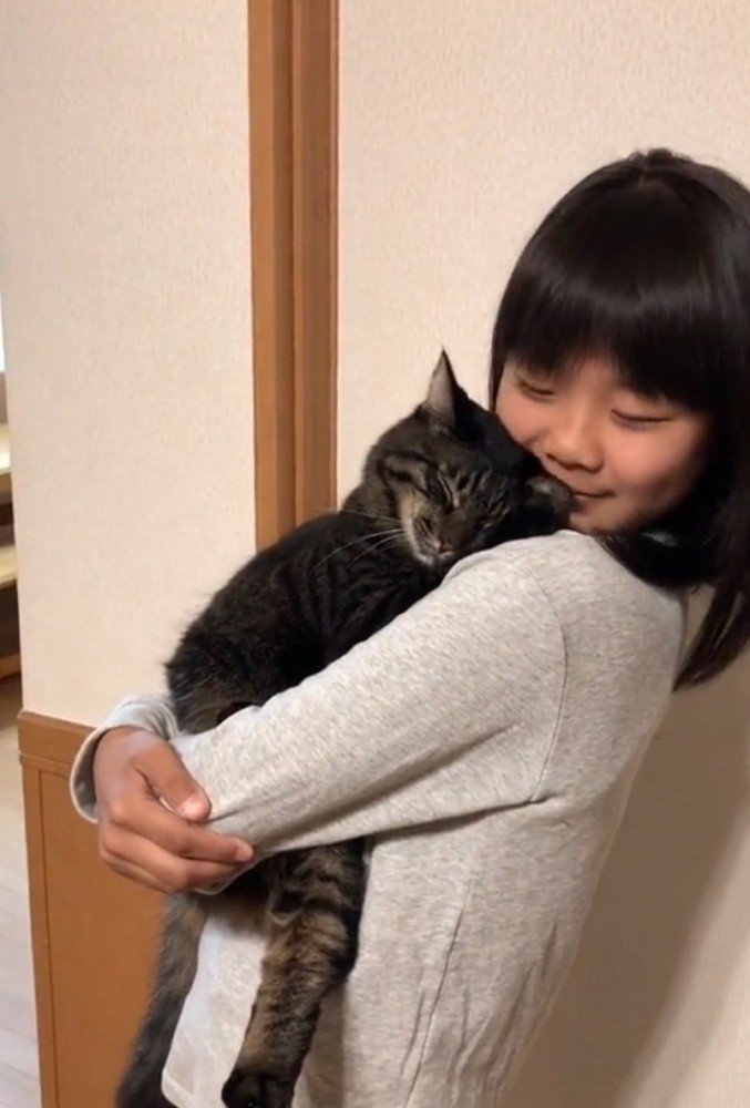 顔をすり寄せる猫