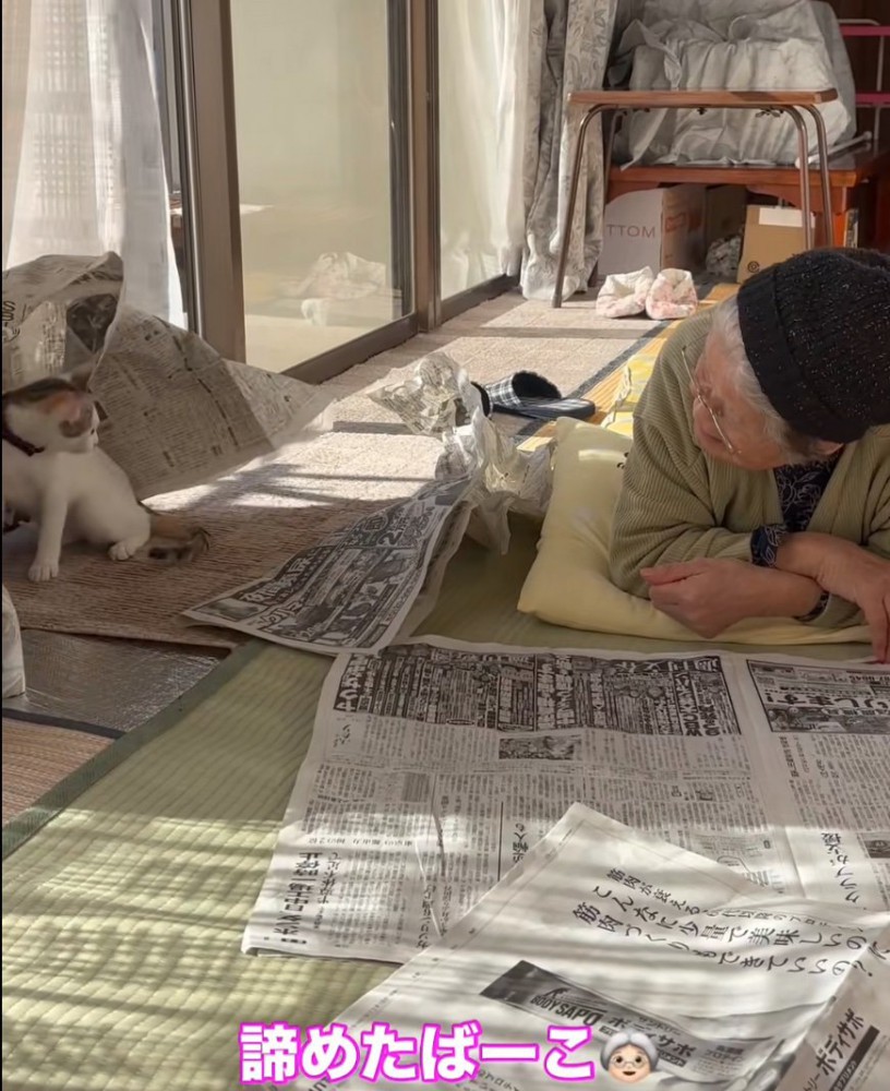 猫を見つめるおばあちゃん