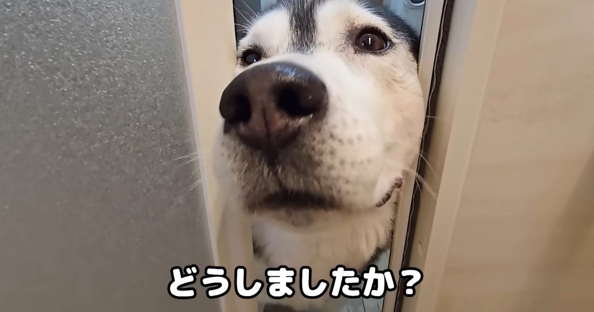 何かありましたか？