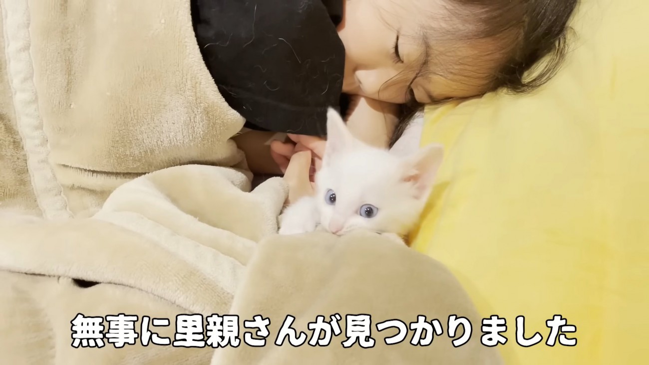 子猫と寝る女の子