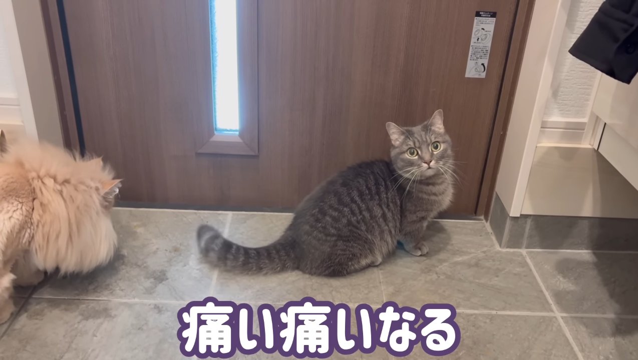 痛い痛いなる