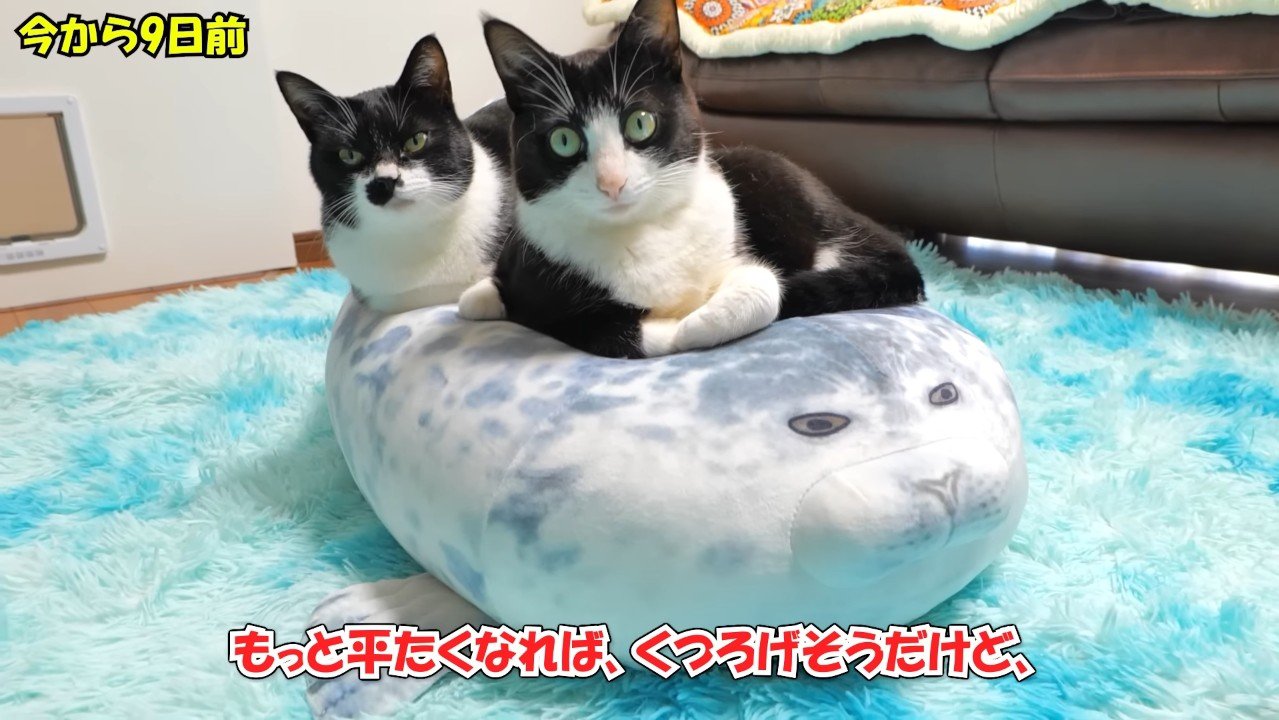 今から9日前