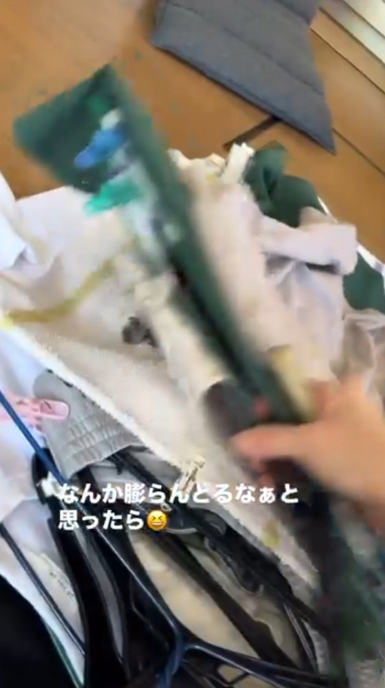 積み重なっている洗濯物をめくる飼い主