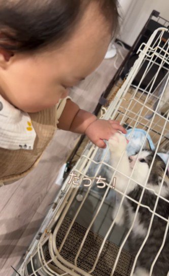 手と手で触れあう赤ちゃん同士