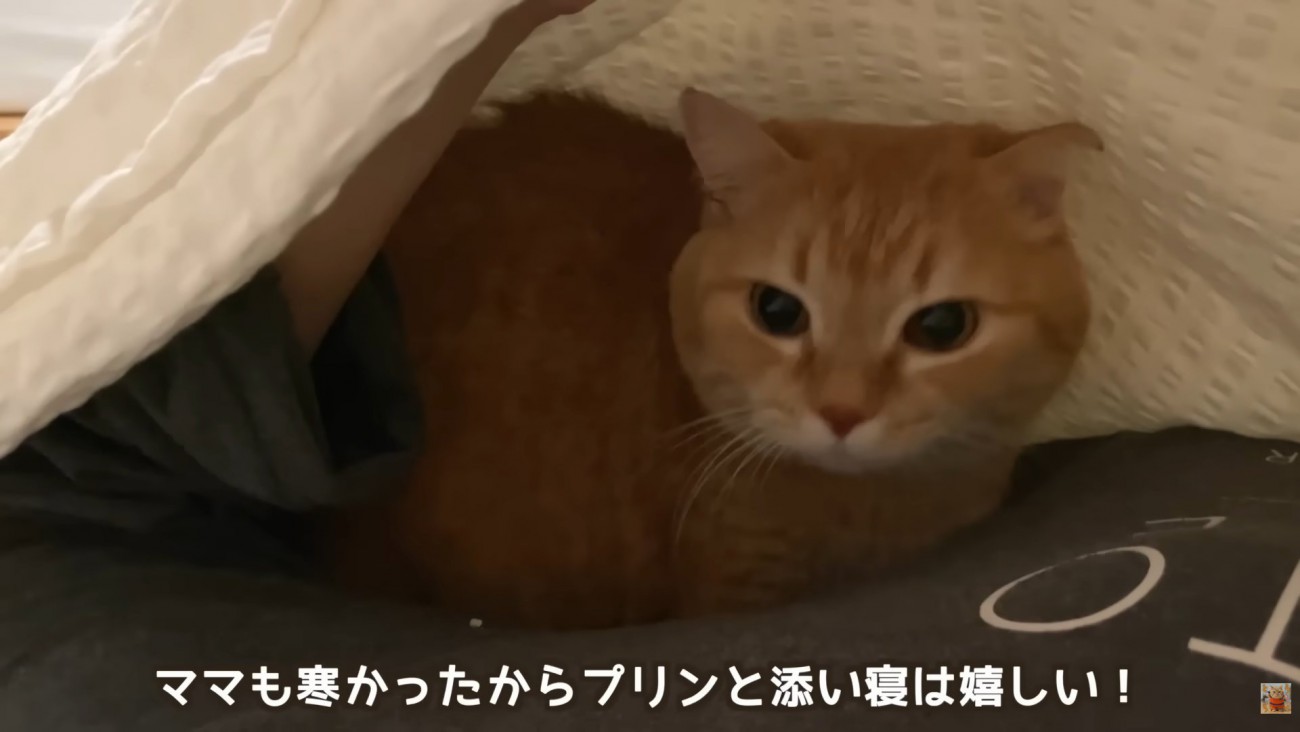 テロップ「ママも寒かったから～」