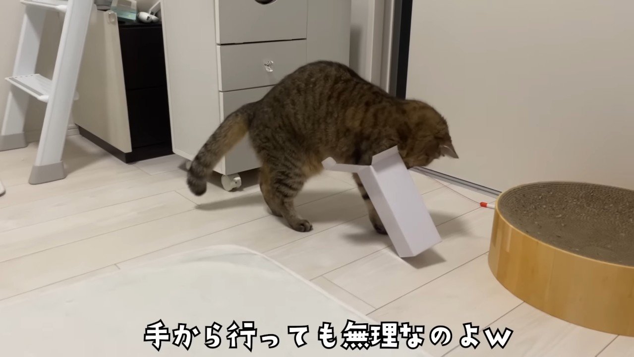 手から行っても