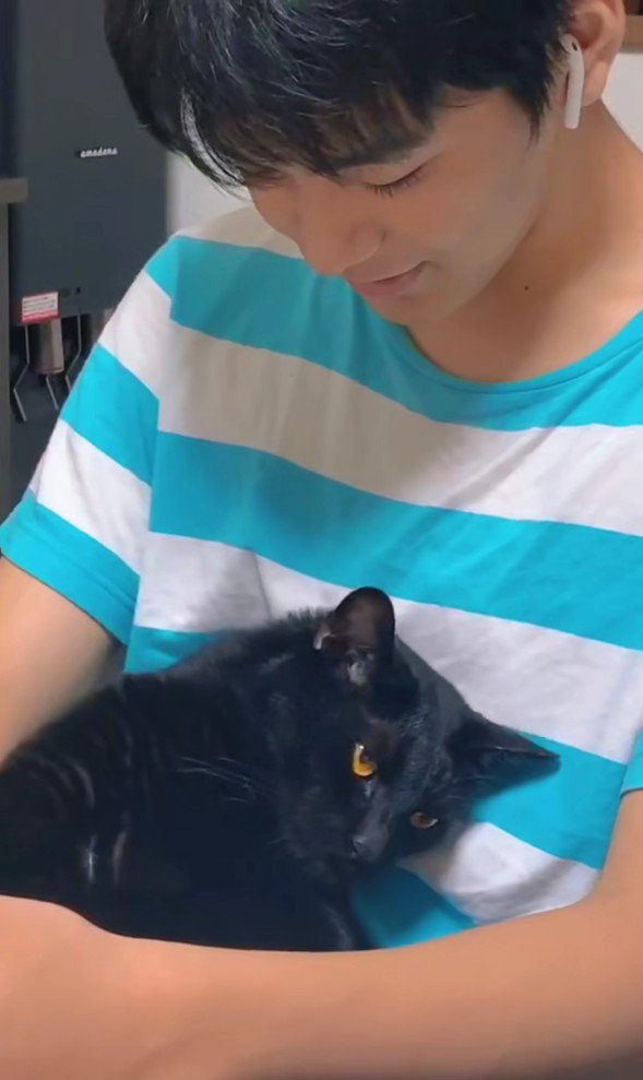 男の子と黒猫